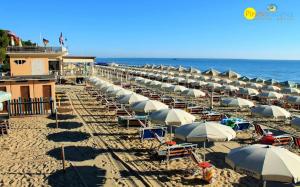una fila di ombrelloni e sedie su una spiaggia di Orchidea Luxury - Pineto Vacanza a Pineto