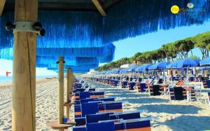 una spiaggia con sedie blu e ombrelloni blu di Orchidea Luxury - Pineto Vacanza a Pineto Altre 4 foto