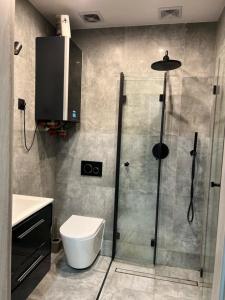Un baño con ducha, inodoro y lavabo. en Raciborska Royal Apartment - miejsce parkingowe na parkingu strzeżonym, en Gliwice 28 fotos más