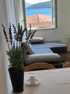 a table with a plant on it with a window at Apartments and Rooms Katija & Egon in Korčula