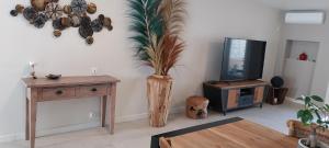 een woonkamer met een tv en een vaas met een plant bij Le 41 bis in Aigues-Mortes