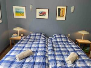 1 dormitorio con 2 camas con sábanas azules y blancas en Cosy house with roof terrace and stunning views, en Axat
