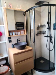 ein Bad mit einem Waschbecken und einer Dusche in der Unterkunft 40m2 flat - 10 min Parc des Princes / Trocadero in Paris