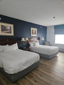 two beds in a hotel room with blue walls at Wingate by Wyndham Youngstown - Austintown in Youngstown +33 photos
