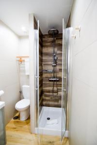 a bathroom with a shower and a toilet at Torremolinos. Plaza de Andalucía Apartment in Torremolinos