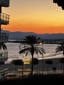 een palmboom op het strand bij zonsondergang bij Precioso apartamento con piscina Urbanización Playazul in Cambrils
