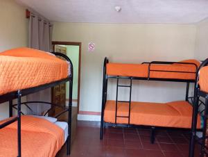 מיטה או מיטות קומותיים בחדר ב-Hostal Sweet Dreams