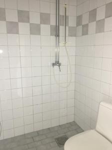 ein Bad mit einer Dusche und einem WC in der Unterkunft Cozy Ostermalm Studio in Stockholm