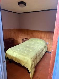 a bedroom with a bed with a green comforter at Hotel El sol in Copiapó