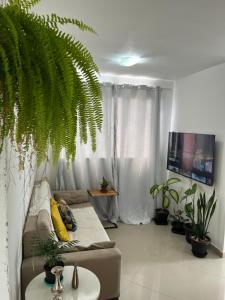 uma sala de estar com um sofá e algumas plantas em Quarto ao Lado do autódromo de Interlagos em São Paulo