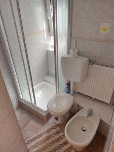 a small bathroom with a toilet and a shower at Ferienzimmer (Stanza) in Fondo Trentino in Fondo