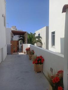 a walkway with flowers in pots next to a building at Niso in Livadion