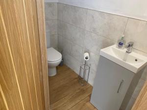 a bathroom with a toilet and a sink at Immaculate 2 Bed property in rural location in Alloa