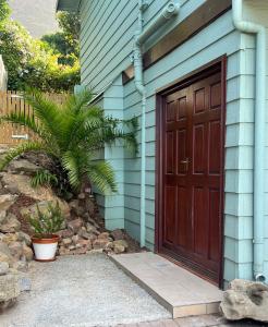a blue house with a brown door and a palm tree at Jefa Heights in Cape Town