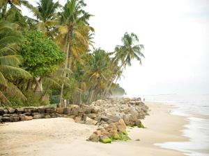a beach with rocks and palm trees and the ocean at Angeo Beach House in Alleppey