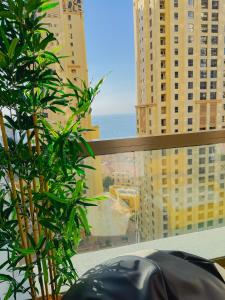 a large window with a view of a city at The Female Journey Hostel - JBR in Dubai