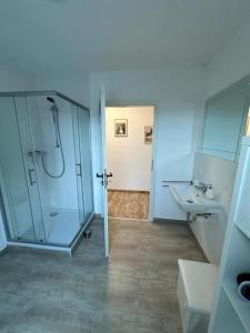ein Bad mit einer Dusche und einem Waschbecken in der Unterkunft Ferienwohnung Bergoase in Goslar