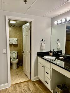 a bathroom with a toilet and a sink and a mirror at River Place Condos #102 2BD in Pigeon Forge