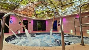 a hot tub with a dinosaur on the ceiling at Number 57 Brynteg in Caernarfon