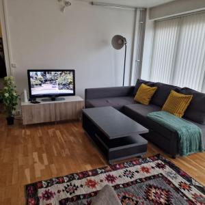 Solace Apartment, Oslo Downtown في أوسلو: غرفة معيشة مع أريكة وتلفزيون بشاشة مسطحة