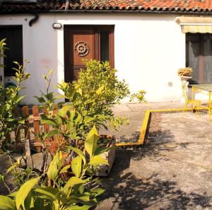 En have udenfor Anna's Garden Venice