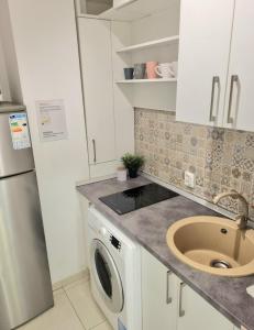 a kitchen with a sink and a dishwasher at Studio Central Exer I in Bucharest