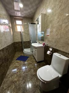 トビリシにあるLucaのバスルーム(トイレ、洗面台、シャワー付)