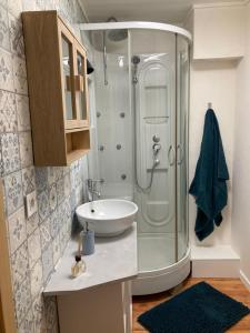uma casa de banho com um chuveiro e um lavatório. em La maisonnée Auvergnate em Auzelles