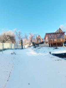 Fotografie z fotogalerie ubytování CARPATINA Rustic House v destinaci Runcu + 11 fotografií