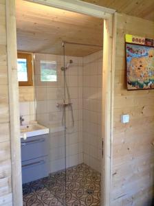 La salle de bains est pourvue d'une douche, de toilettes et d'un lavabo. dans l'établissement Le Paradis caché : Chalet Shangri-La, à Villennes-sur-Seine