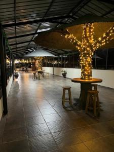 een kamer met een tafel en een boom met verlichting bij Hostal Claure in Torotoro