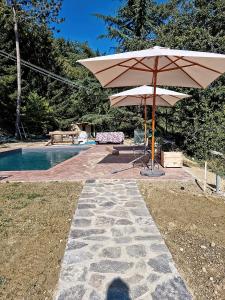 un patio con sombrilla junto a la piscina en Chianti Villa Chicco, piscina privata, ampio giardino, BBQ e parcheggio, en Lucolena in Chianti