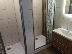 ein Bad mit einer Dusche und einem Waschbecken in der Unterkunft Hostel Bad Goisern in Bad Goisern