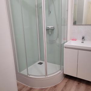 une douche avec une porte vitrée dans une salle de bain dans l'établissement la petite montagne, à Le Puy-Notre-Dame