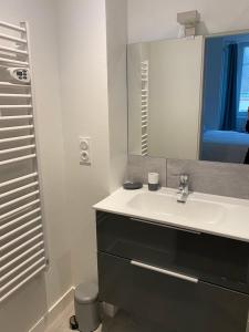 a bathroom with a sink and a mirror at La Petite Chouette, charmant et cosy T2 in Dijon