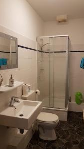 ein Bad mit einer Dusche, einem WC und einem Waschbecken in der Unterkunft Phoenix in Chemnitz