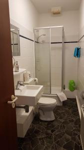 ケムニッツにあるPhoenixのバスルーム(トイレ、洗面台、シャワー付)