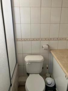 een kleine badkamer met een wit toilet en een aanrecht bij Piso 5 Con estacionamiento - Sin Ascensor in Copiapó
