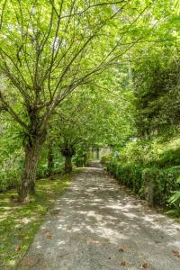 uma rua arborizada com uma estrada com árvores em Aventoriba Lodge em Campos do Jordão