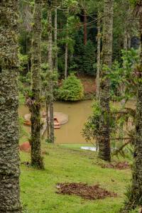 a body of water through a forest of trees at Aventoriba Lodge in Campos do Jordão