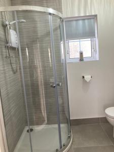 eine Dusche im Bad mit WC und Fenster in der Unterkunft Binnian Gateway in Ballymartin