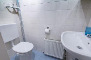 Un baño blanco con inodoro y lavabo. en josef's home I Studio near City Center, en Viena