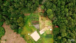 an aerial view of a house in the middle of a forest at Cotan Ecolodge in La Esperanza