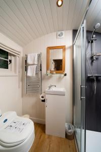 a bathroom with a toilet and a sink and a shower at Shepherd's Rest Luxurious Hideaway in Glasgow