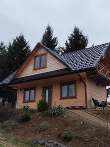 a wooden house with a black roof at Chrząszczewo Widokowe Wzgórze 3 in Uherce Mineralne (7)
