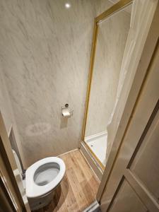 a bathroom with a toilet and a shower at Tamarind Cove & Barrons Hotel in Blackpool