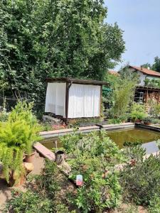 Zahrada ubytování B&B Vegan La Mucca felice - Grazioso appartamento nel verde + 54 fotografií