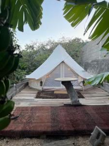 une tente blanche avec une table de pique-nique sur un tapis dans l'établissement Yurt in Avocado garden, à Güimar