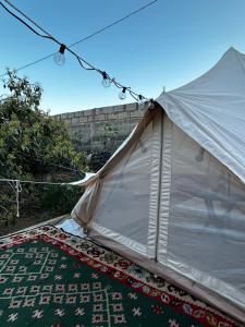una tenda è dotata di un tappeto per terra. di Yurt in Avocado garden a Güímar