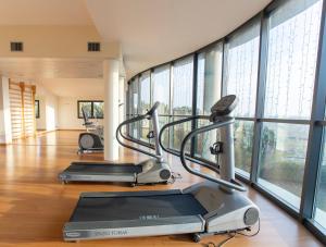 un gimnasio con cintas de correr y elípticas en una habitación con ventanas en Hotel Riz B.B, en San Genesio ed Uniti